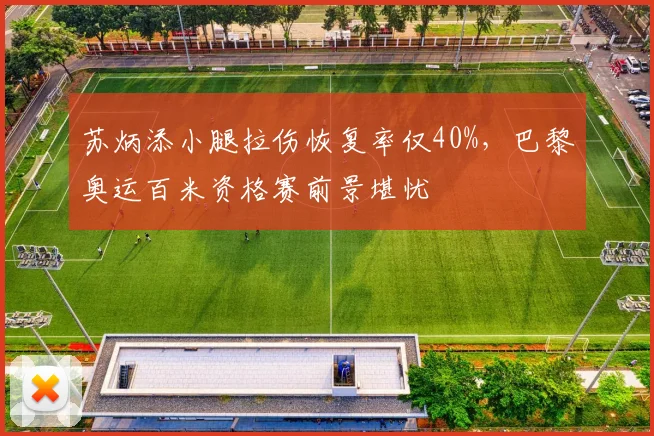 苏炳添小腿拉伤恢复率仅40%,巴黎奥运百米资格赛前景堪忧